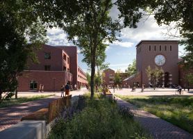 SB Stein Bruisend hart 1