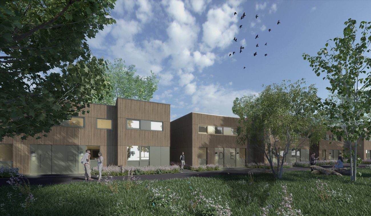 Architectonische impressie van moderne nieuwbouwwoningen met houten gevels, omgeven door groen en wandelpaden, onder een heldere blauwe lucht met vogels in de verte.